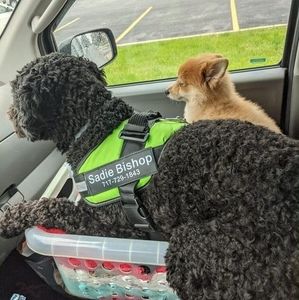 Meet your Posher, Karen